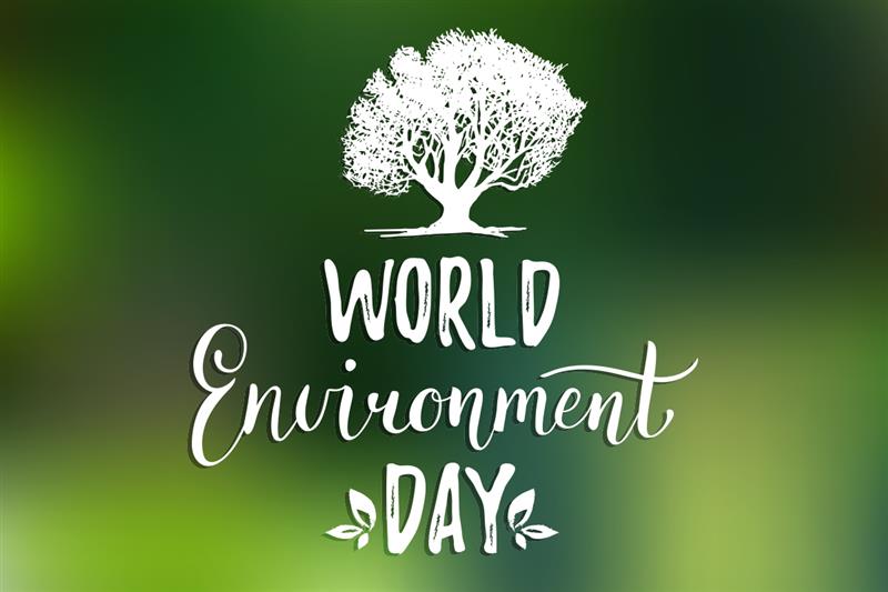 Journée Mondiale de l'Environnement